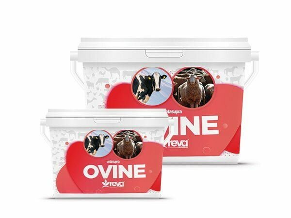 Supplément Alimentaire Ovine