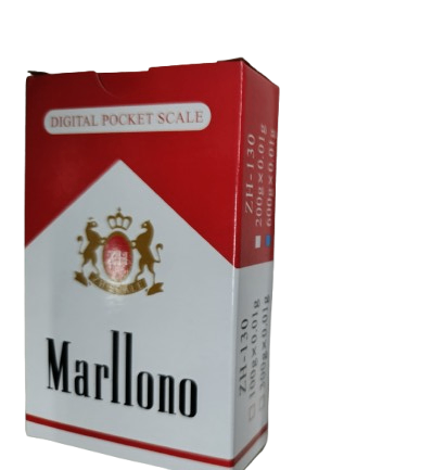 balance numérique 600g