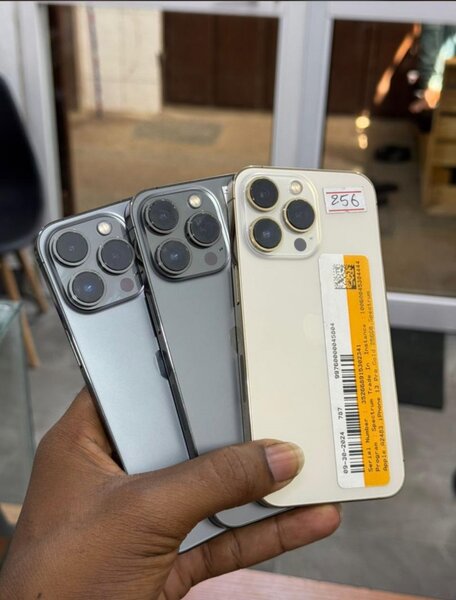 iPhone 13pro max 258 gig