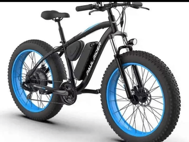 Vélo électrique Fat Bike tout-terrain