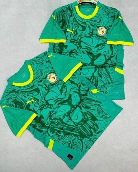 Maillot Sénégal Puma