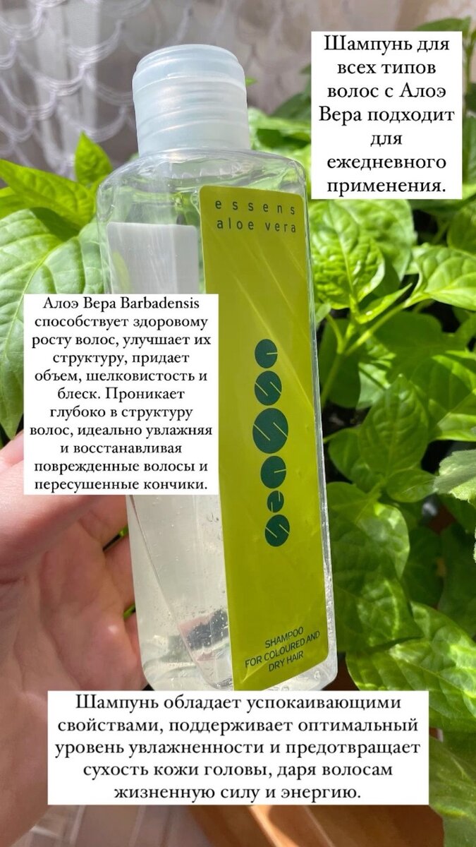 Шампунь Алое Вера