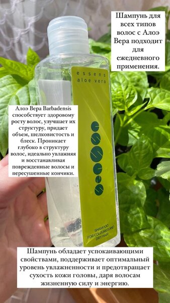 Шампунь Алое Вера
