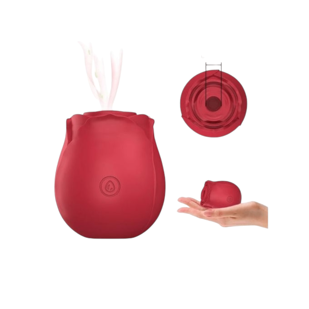 Vibro Masseur Clito SN01