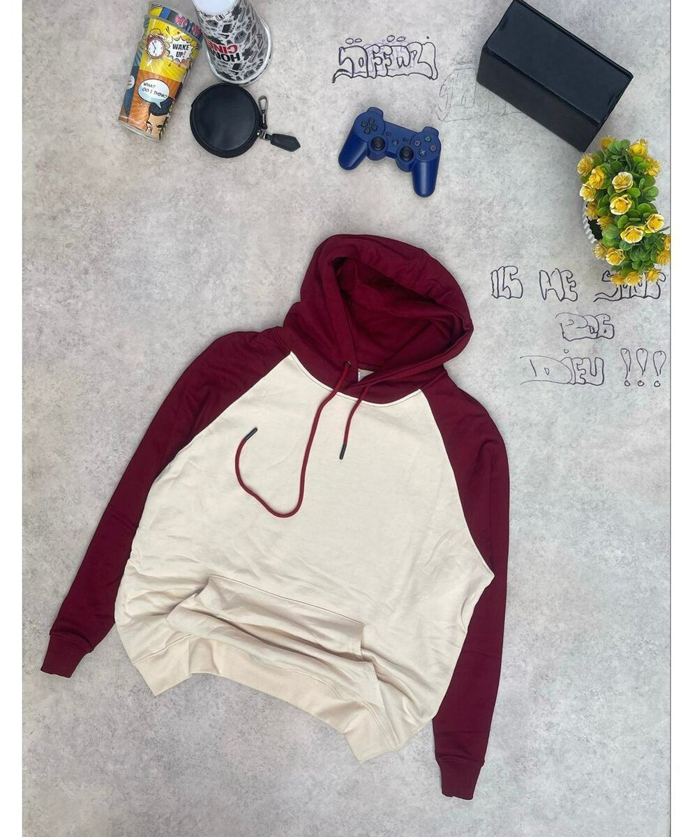 Sweat à capuche bicolore