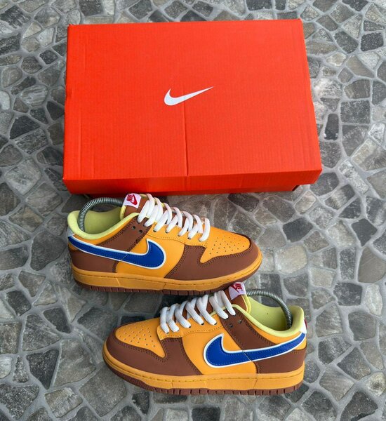 Nike Dunk Low coloré