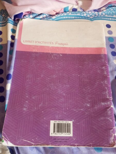 Livre d'activités Français 6e