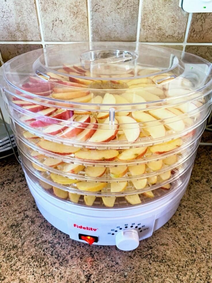 Déshydrateur alimentaire