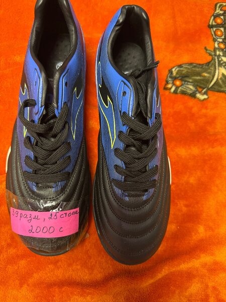 Сороконожки