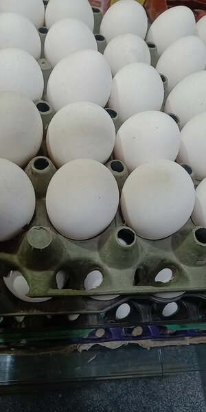 Eggs