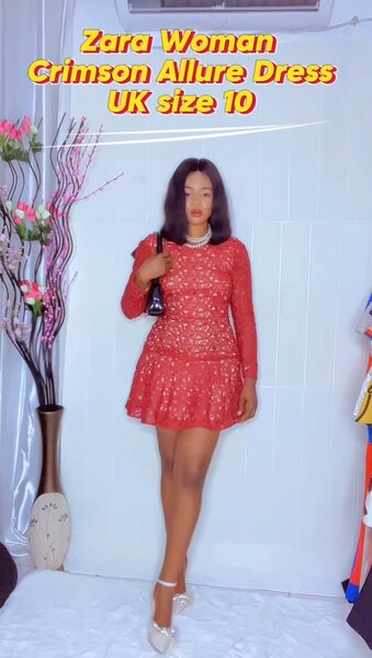 Zara Woman Crimsonalluded Dress