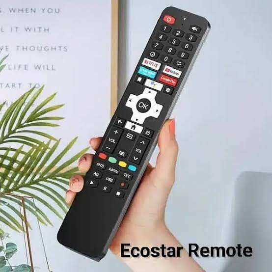 Ecostar Voice 100% original Remote Control
