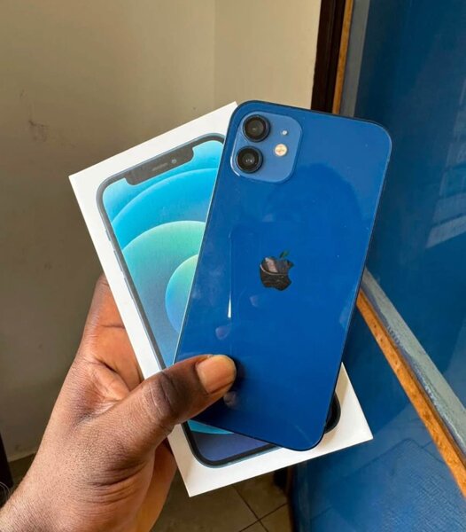 iPhone 12 Bleu Neuf