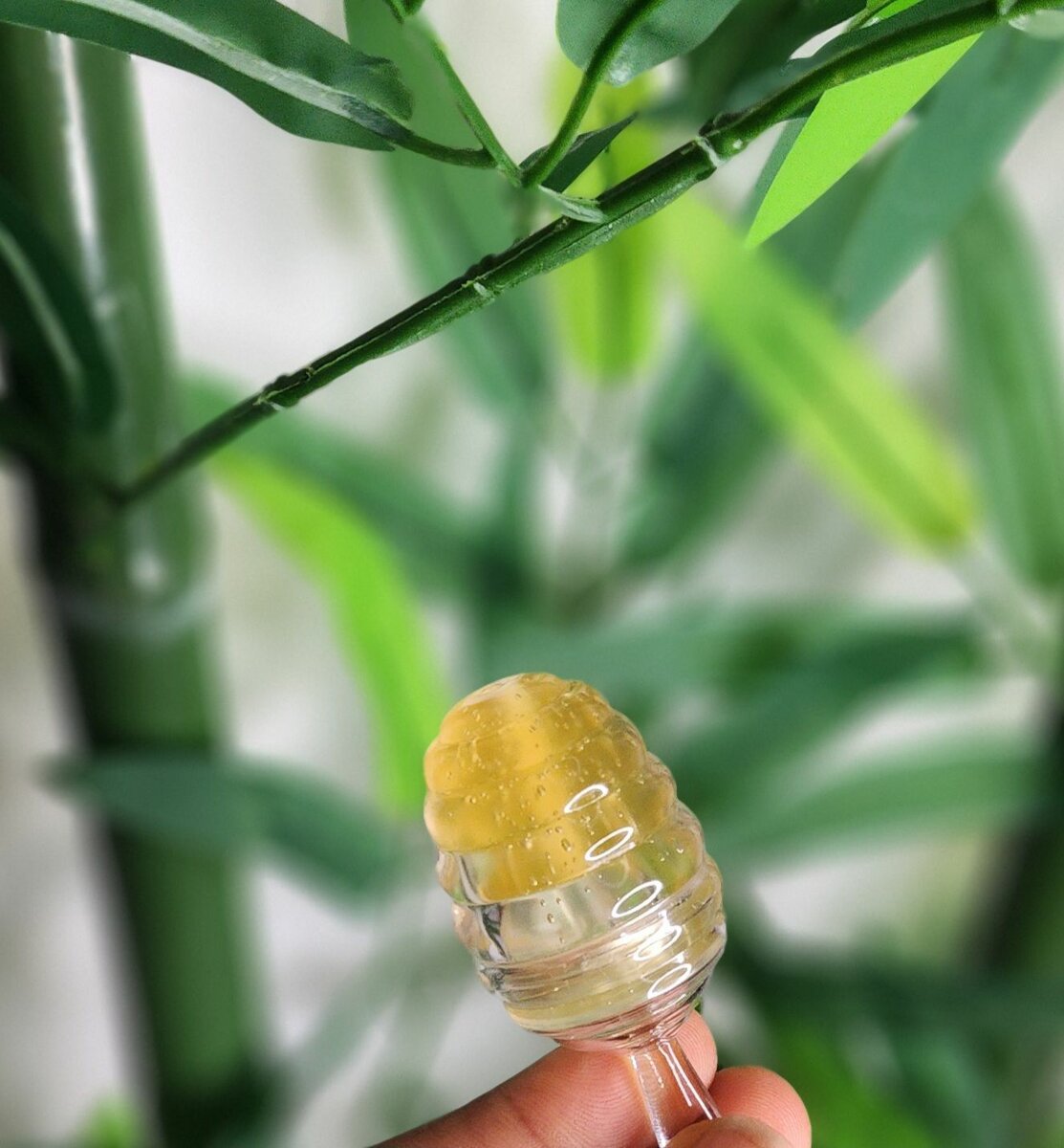 Mazia honey lip care