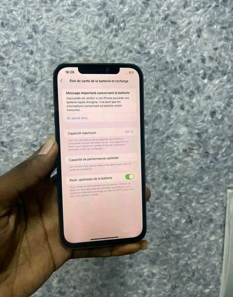 iPhone 12 Pro Max 256 Go