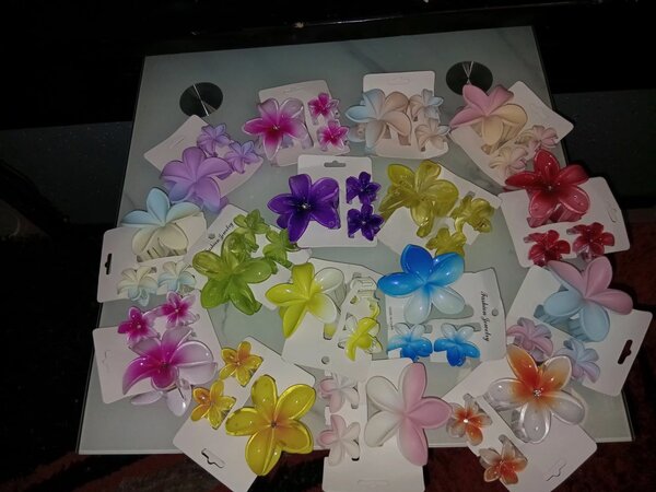 Barrettes fleurs colorées