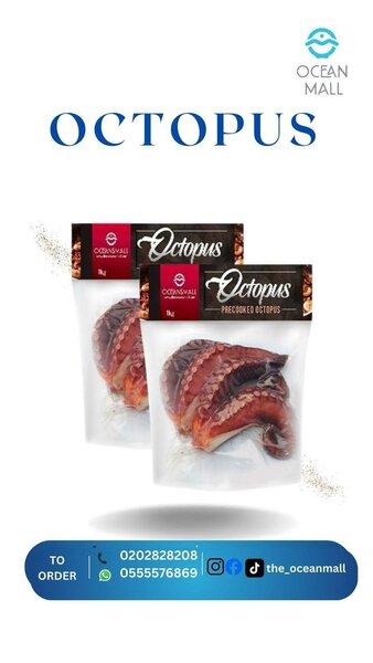 Oceans Octopus