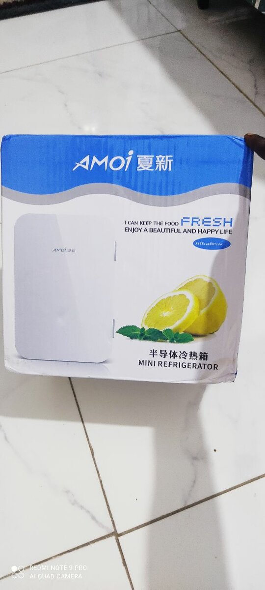 Mini Réfrigérateur Amoi Portable