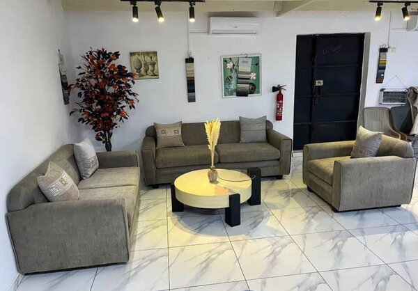 Salon de canapé moderne