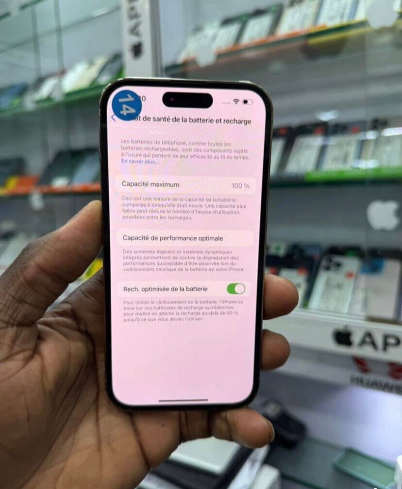 iPhone Pro Max 256 Go