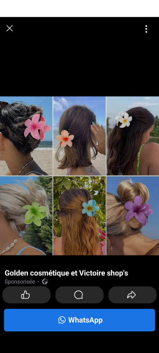 Pinces à cheveux fleuries colorées