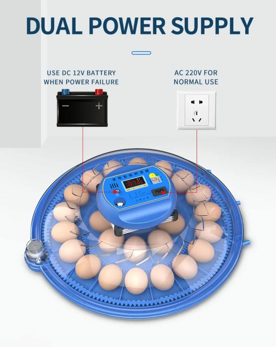 Kit Couveuse intelligente automatique