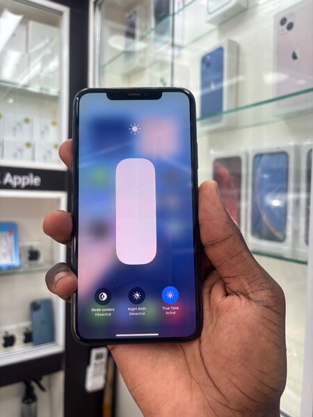 iPhone 11 Pro Max 256Go