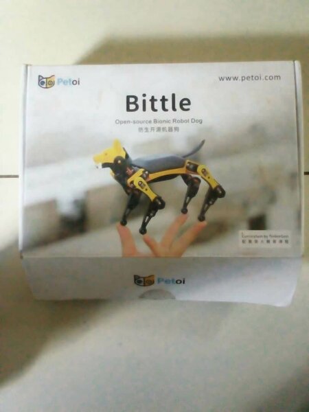 Robotic Kits for Children