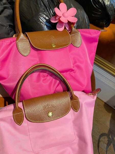 Sac à main Longchamp élégant