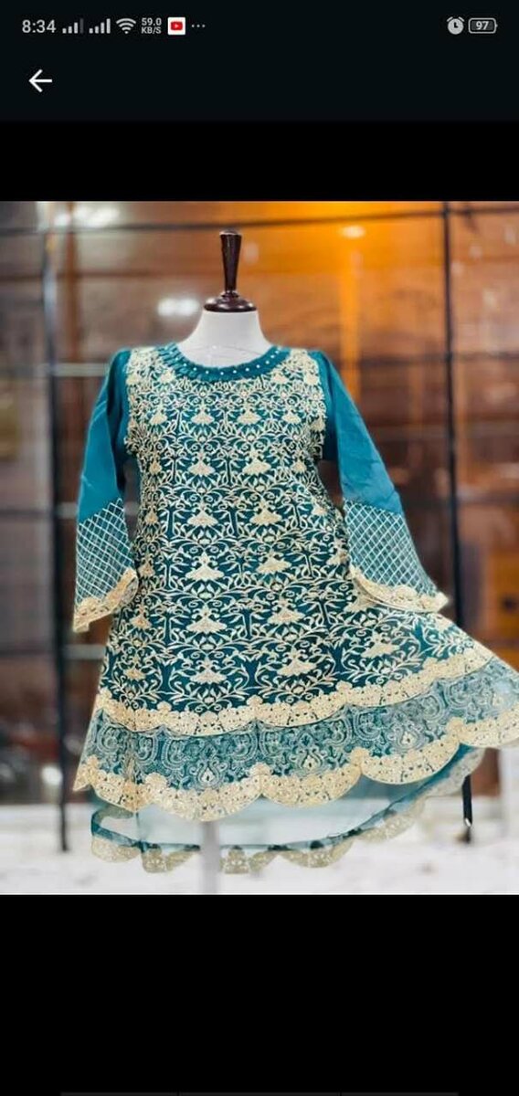 Ladies fancy suit