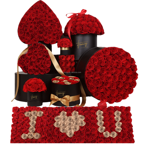 Fleurs éternelles rouges en boîte
