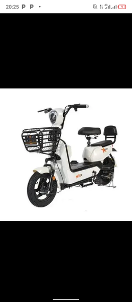 Tricycle électrique cargo