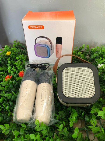 Enceinte Portable Bluetooth Microphone