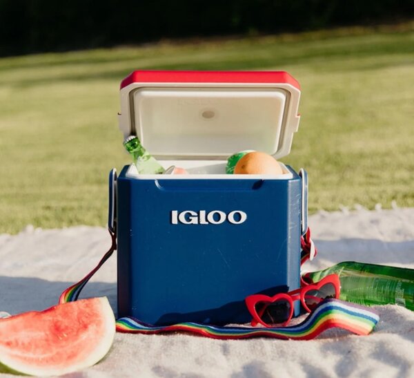 Igloo Tagalong cooler