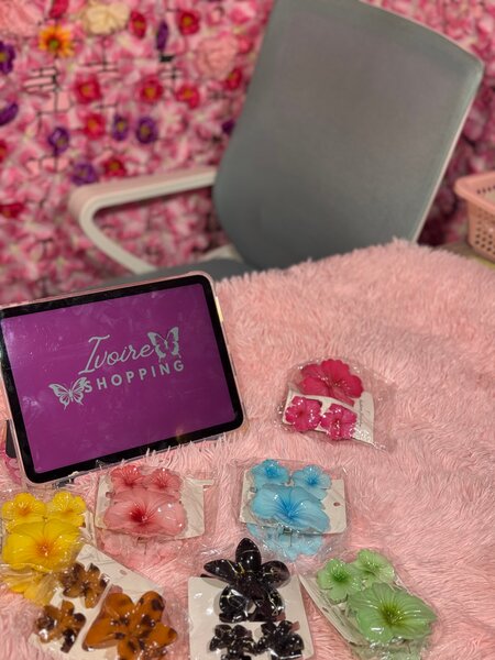 Pinces à cheveux papillon colorées