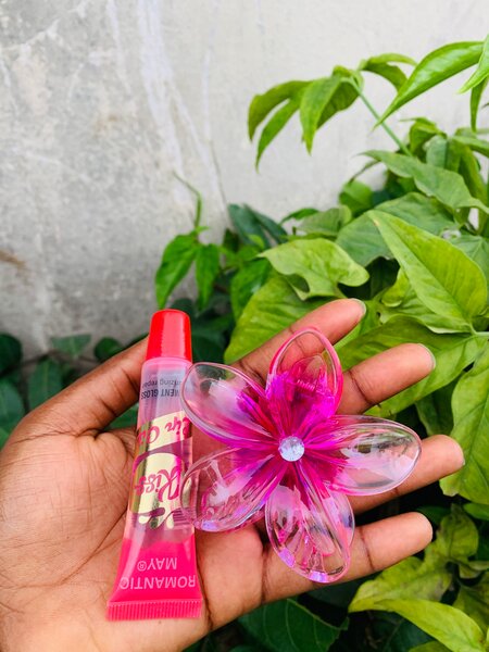 Brillant à lèvre et pince