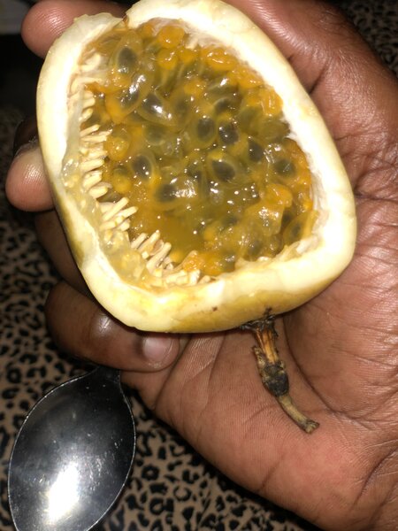 Jus de Passion Tropical