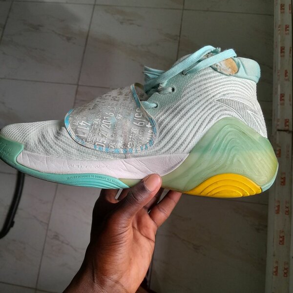 Baskets montantes modernes