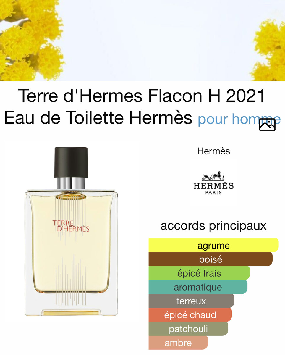 Terre d'Hermes EDT 50ml