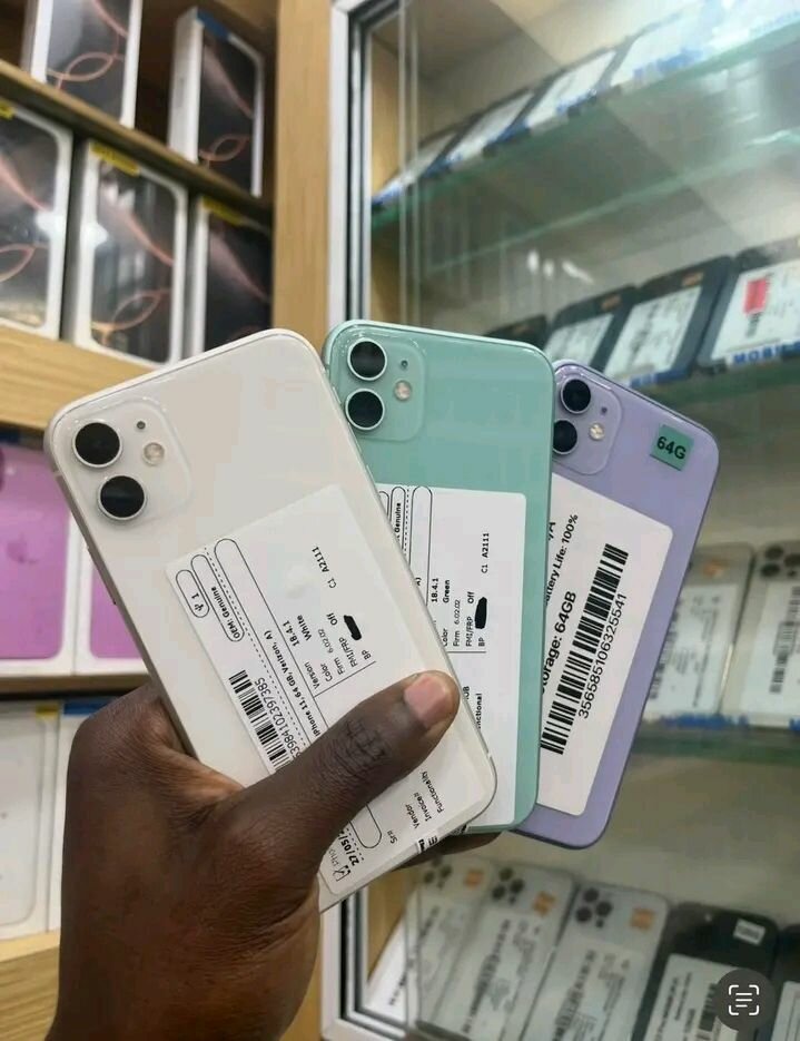 iPhone 11 Multicolore Débloqué