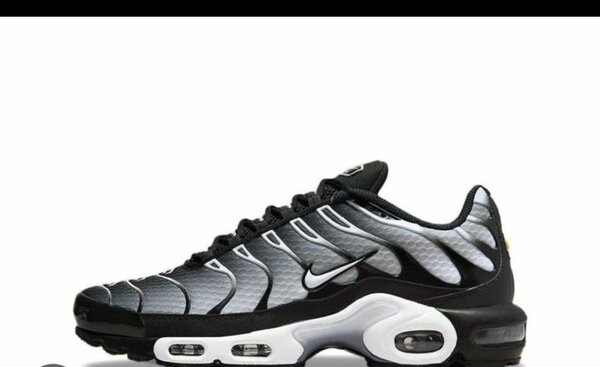 Baskets Air Max colorées