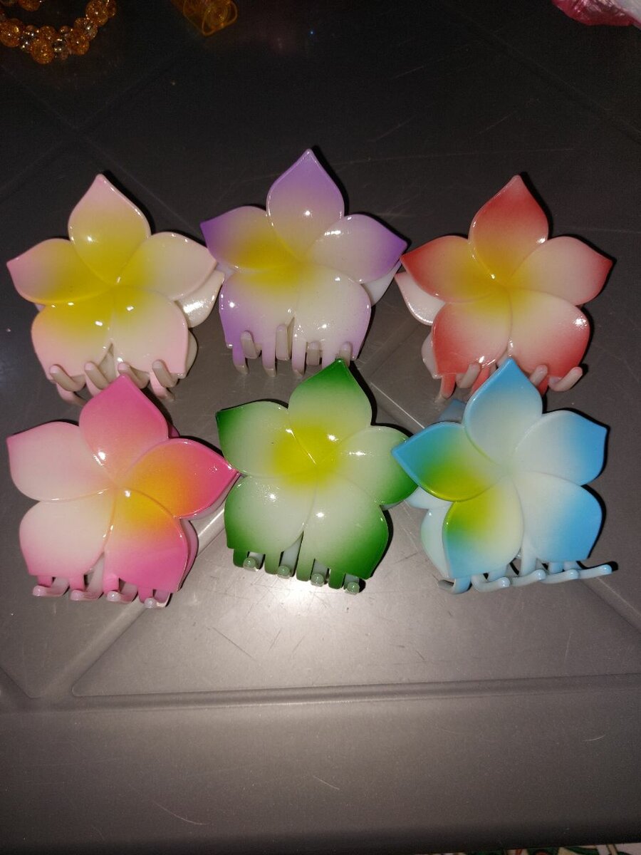 Pinces à cheveux fleur multicolore