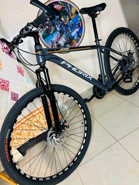 Vélo de montagne robuste