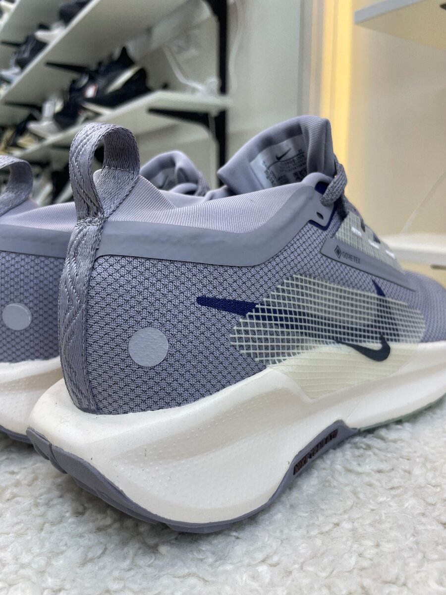 Nike pegasus Trail 5