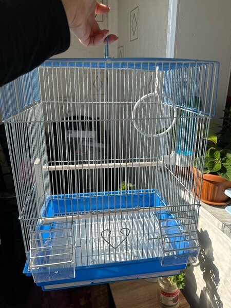 Для маникюра за 1500