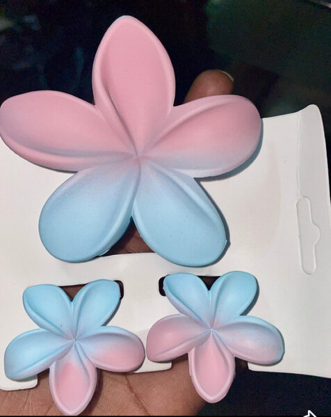 Pinces à cheveux fleurs colorées