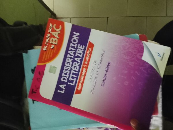 Carnet Dissertation Littéraire