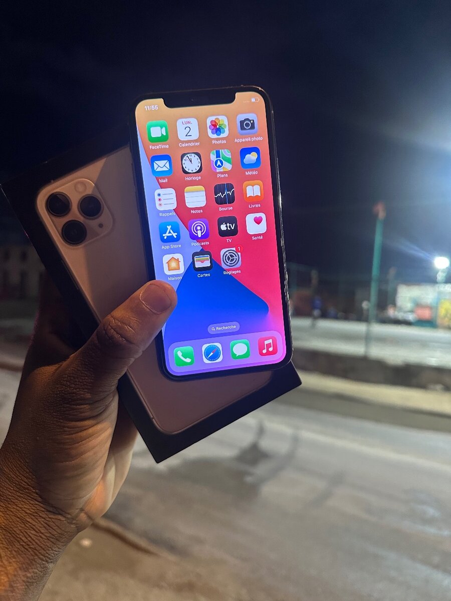 iPhone Pro Max Argent