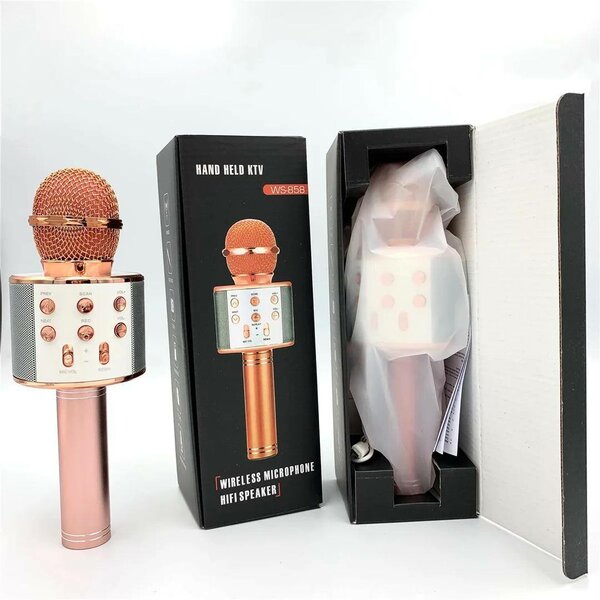 Micro pour karaoké