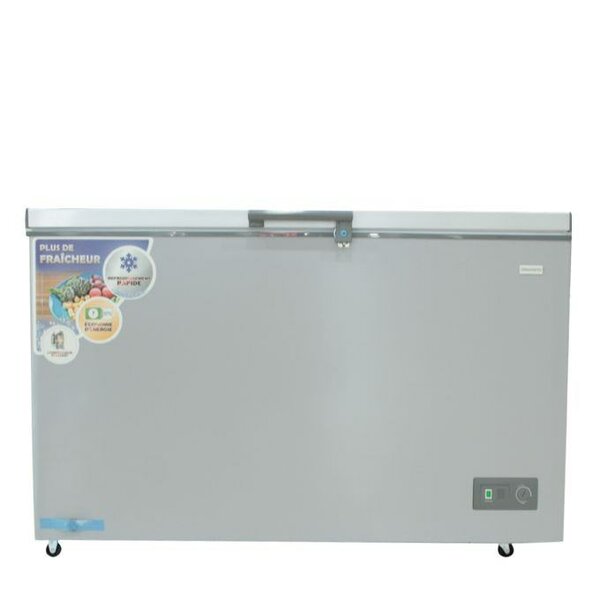 Congélateur Nasco 390 L